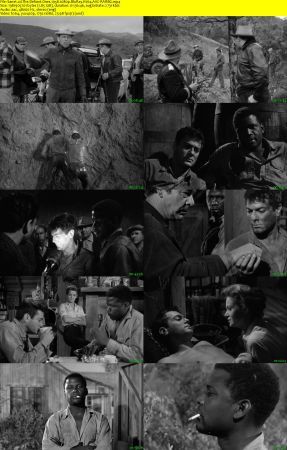 The Defiant Ones 1958 1080p BluRay H264 AAC-RARBG