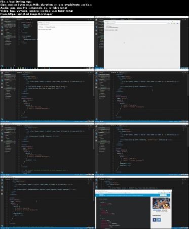 The Ultimate Vue 2 Crash Course - Learn by Example