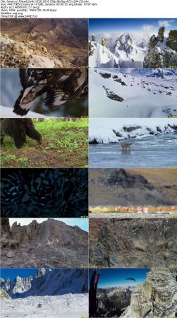 Planet Earth II 2016 720p BluRay AC3 x264-ZQ