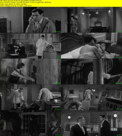 Curse of the Fly 1965 BRRip XviD MP3-XVID