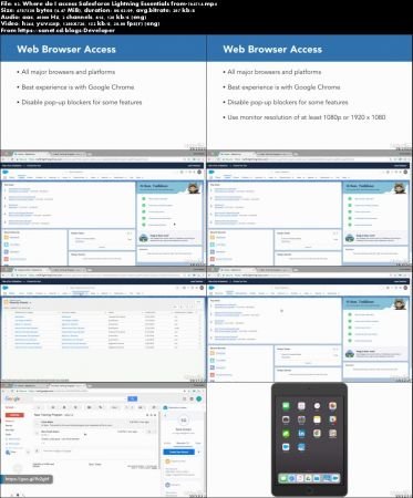 Salesforce Lightning Essentials: First Look