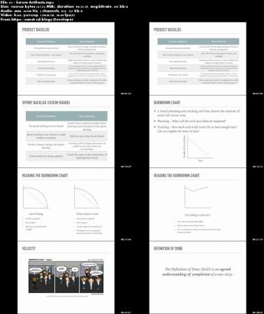 Agile Series: Scrum Master Toolkit