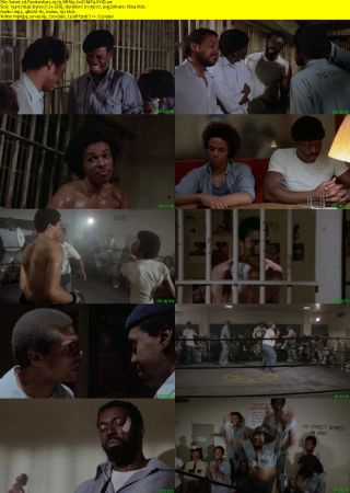 Penitentiary 1979 BRRip XviD MP3-XVID