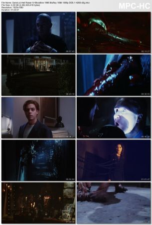 Hell Raiser IV Bloodline 1996 BluRay 10Bit 1080p DD5.1 H265-d3g