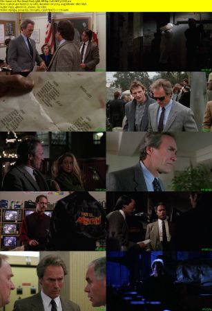 The Dead Pool 1988 BRRip XviD MP3-XVID