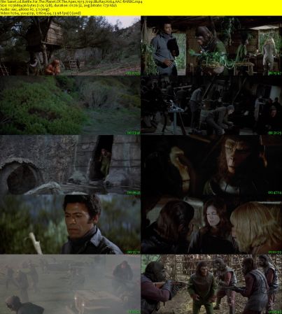 Battle For The Planet Of The Apes 1973 720p BluRay H264 AAC-RARBG