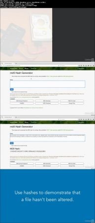 SSCP Cert Prep: 4 Incident Response and Recovery