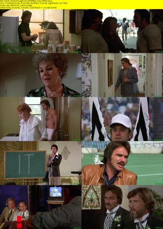 Semi Tough 1977 WEBRip x264-ION10