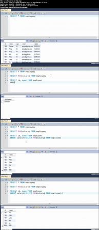 My SQL Course for beginners and Professionals