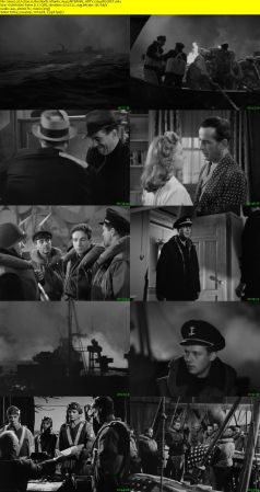 Action in the North Atlantic 1943 iNTERNAL HDTV x264-REGRET
