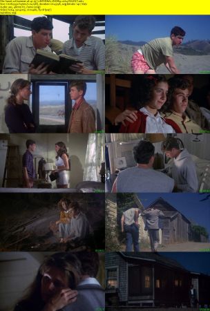 Summer of 42 1971 iNTERNAL DVDRip x264-REGRET