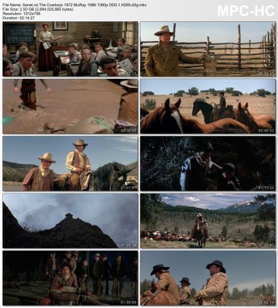 The Cowboys 1972 BluRay 10Bit 1080p DD5.1 H265-d3g