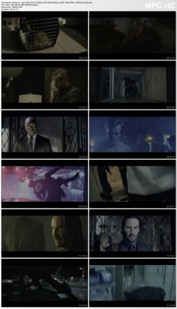 John Wick 2014 2160p UHD HDR BluRay x265 10bit DD5.1 SGJ5-LorD