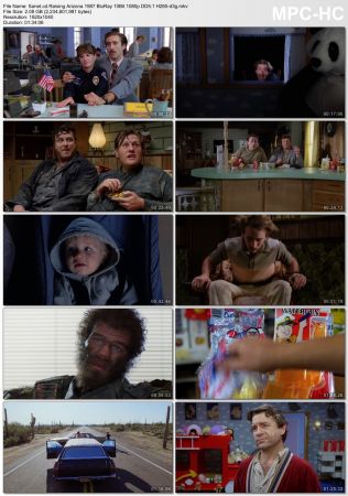 Raising Arizona 1987 BluRay 10Bit 1080p DD5.1 H265-d3g