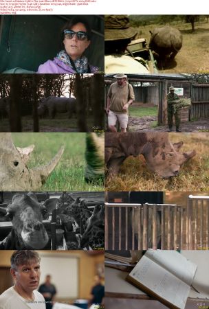 Nature S36E11 The Last Rhino iNTERNAL 720p HDTV x264-DHD