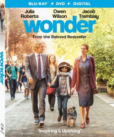 Wonder 2017 720p BluRay DD5.1 x264-BMDru