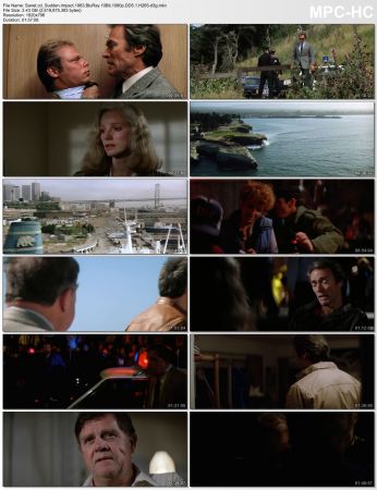 Clint Eastwood 20 Film Collection BluRay 10Bit 1080p DD5.1 H265-d3g