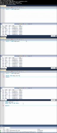 My SQL Course for beginners and Professionals
