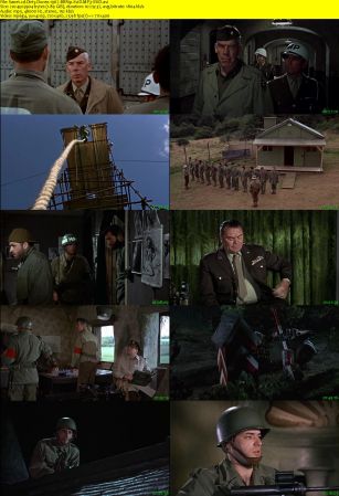 Dirty Dozen 1967 BRRip XviD MP3-XVID