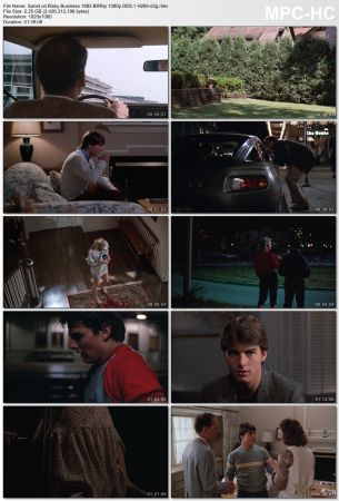 Risky Business 1983 BRRip 1080p DD5.1 H265-d3g