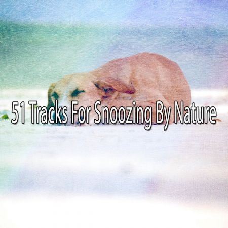 Mother Nature Sound FX - 51 Tracks For Snoozing By Nature (2018)