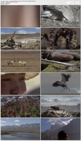 BBC Wild China 2008 BluRay 1080p x265 10bit 3Aduios MNHD-FRDS