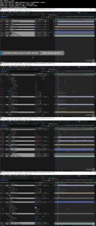 After Effects Guru: Mastering the Timeline (2018)