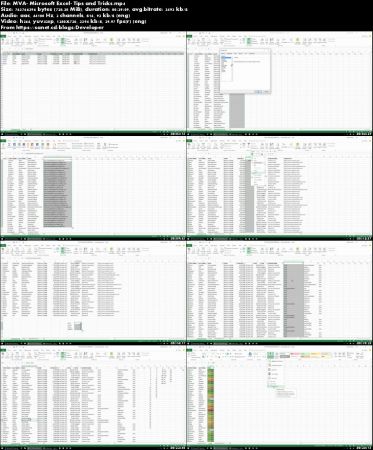 Doing More with Your Data - Microsoft Excel: Tips and Tricks