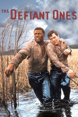 The Defiant Ones 1958 1080p BluRay H264 AAC-RARBG