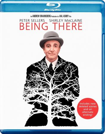 Being There 1979 REMASTERED BRRip XviD MP3-XVID