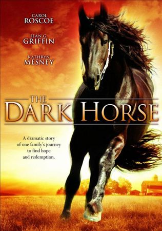 The Dark Horse 2008 1080p BluRay x264-OFT