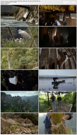 BBC Wild China 2008 BluRay 1080p x265 10bit 3Aduios MNHD-FRDS
