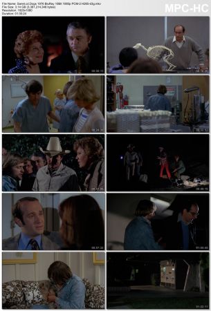Dogs 1976 BluRay 10Bit 1080p PCM-2 H265-d3g