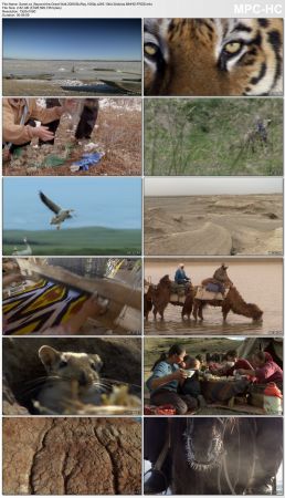 BBC Wild China 2008 BluRay 1080p x265 10bit 3Aduios MNHD-FRDS