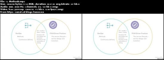 Putting ITIL® into Practice: DevOps for ITIL® Practitioners