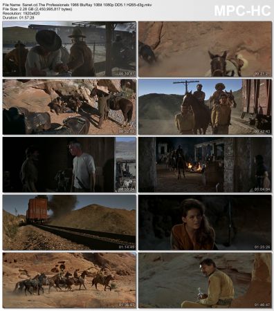 The Professionals 1966 BluRay 10Bit 1080p DD5.1 H265-d3g