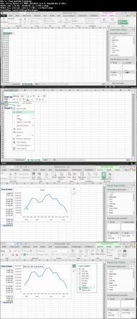 Interactive Dashboards with Excel Pivot Tables