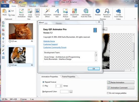 Blumentals Easy GIF Animator Professional 7.2.0.60 Portable