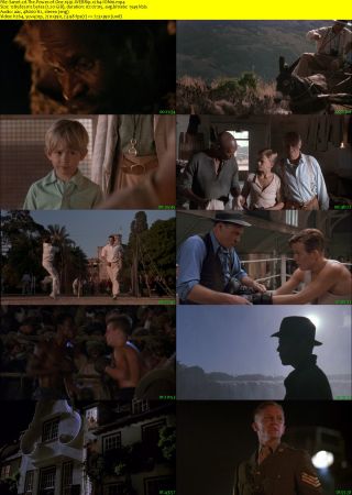 The Power of One 1992 WEBRip x264-ION10