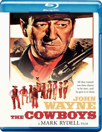 The Cowboys 1972 BluRay 10Bit 1080p DD5.1 H265-d3g