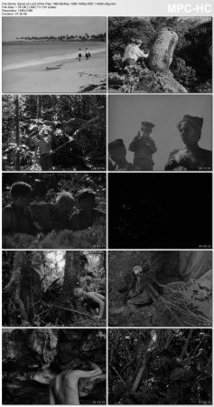 Lord of the Flies 1963 BluRay 10Bit 1080p DD5.1 H265-d3g