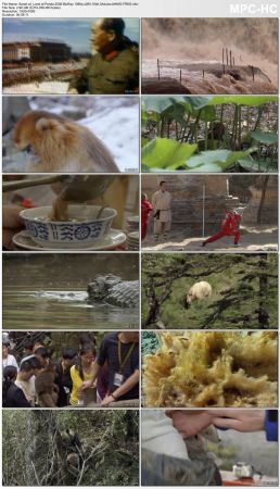 BBC Wild China 2008 BluRay 1080p x265 10bit 3Aduios MNHD-FRDS