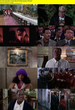 Coming To America 1988 1080p BluRay H264 AAC-RARBG