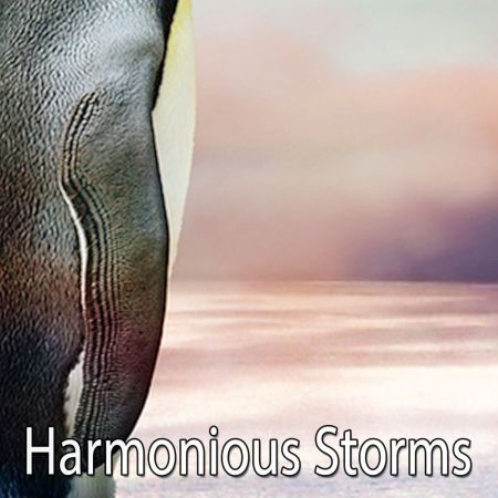 Rain for Deep Sleep - Harmonious Storms (2018)
