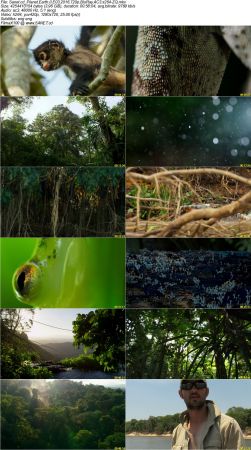 Planet Earth II 2016 720p BluRay AC3 x264-ZQ
