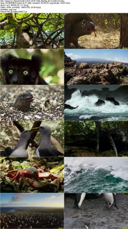 Planet Earth II 2016 720p BluRay AC3 x264-ZQ