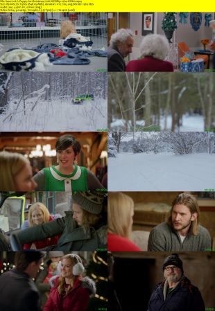 A Puppy for Christmas 2016 WEBRip x264-ION10
