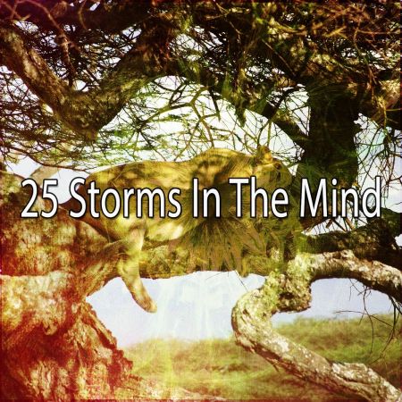 Rain Sounds &amp; White Noise - 25 Storms In The Mind (2017)