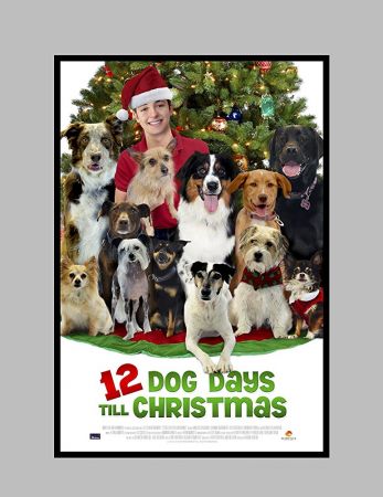 12 Dog Days Till Christmas 2014 1080p WEBRip x264-RARBG