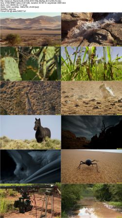 Planet Earth II 2016 720p BluRay AC3 x264-ZQ